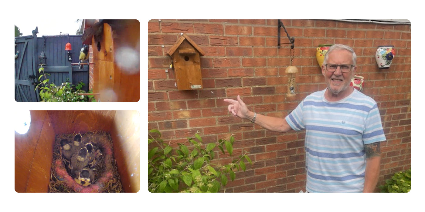 From the front porch, to a new perch