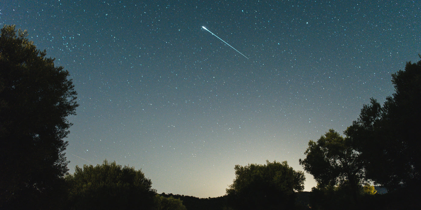 A season for star gazers