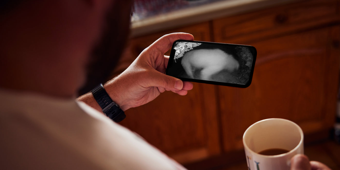 A smarter way to save strays.