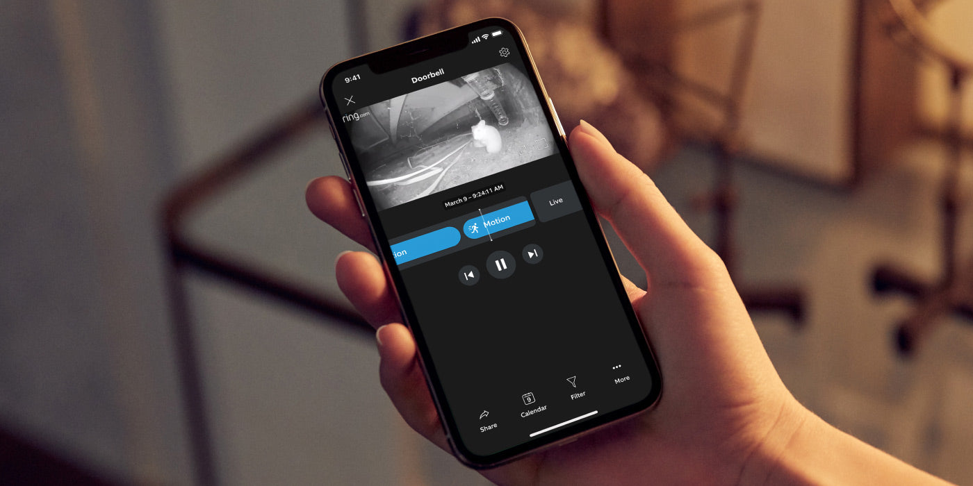 Headstrong hamster holds-up holiday.