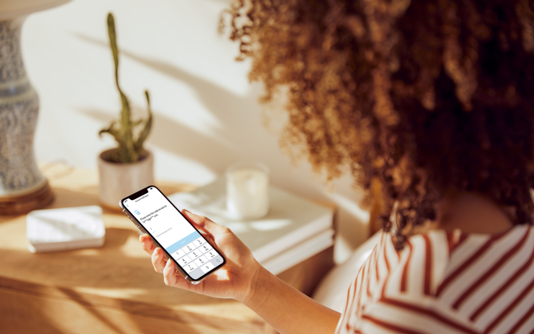 Extra Layers of Security and Control