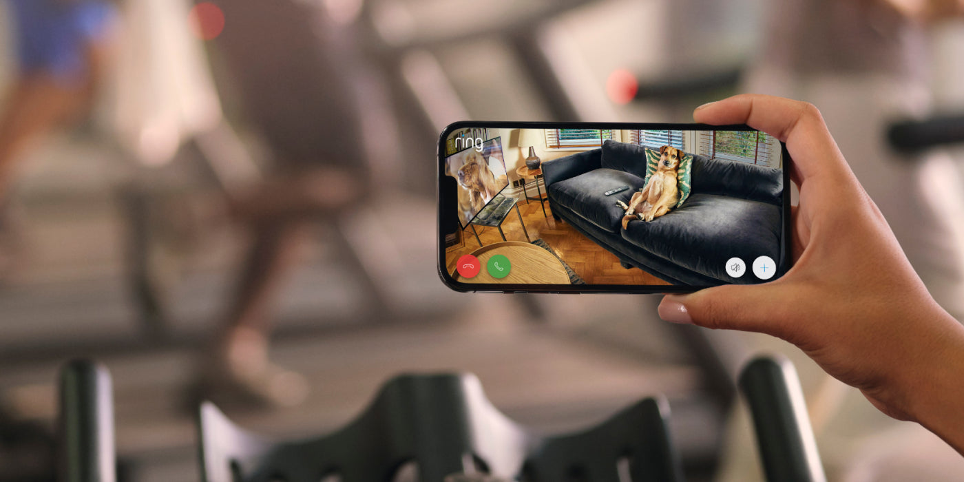 Have you found your inner peace?