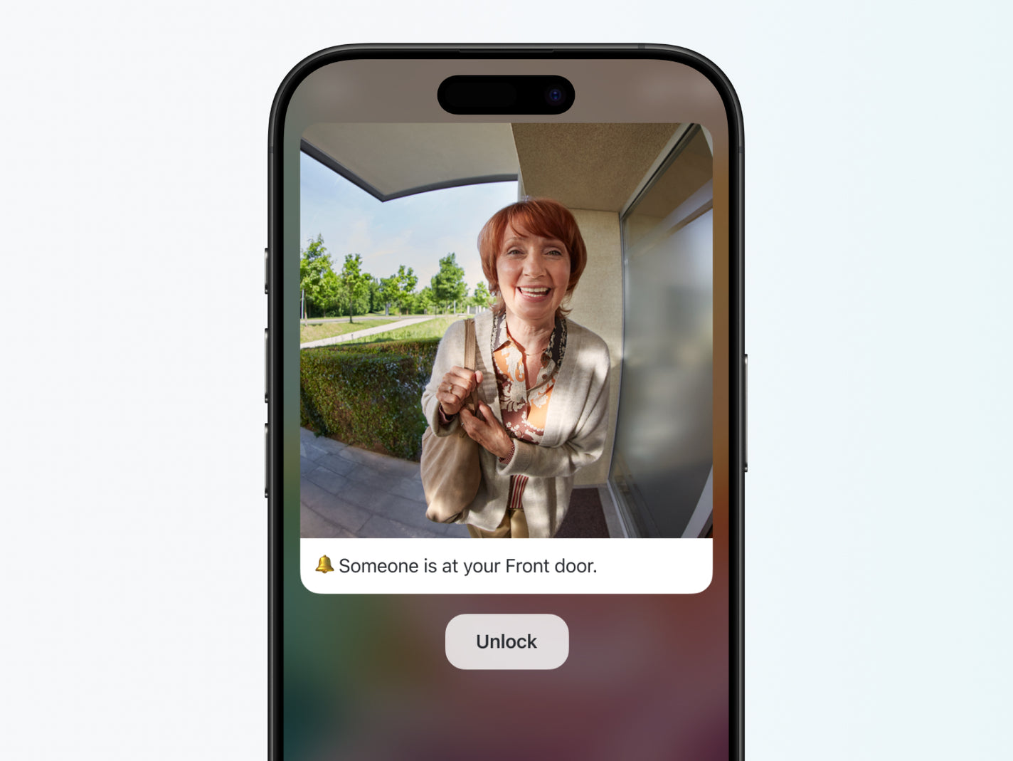 Video alerts preview