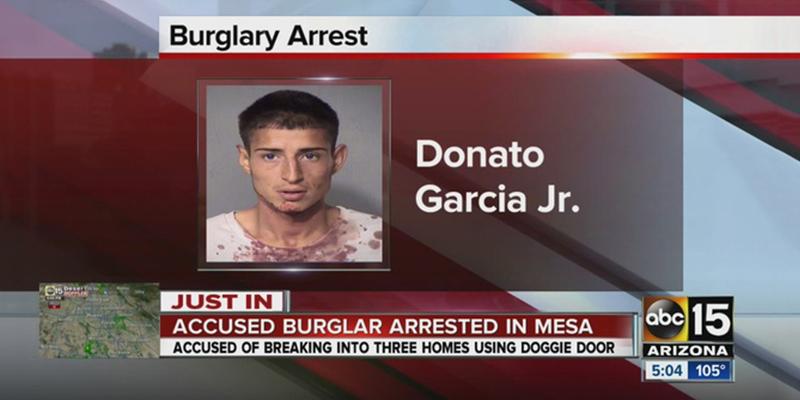 Doggy Door Burglar in Mesa, Arizona Gets Busted by Ring