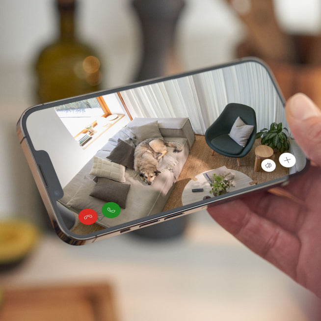 Ring Neo Ring | About Us