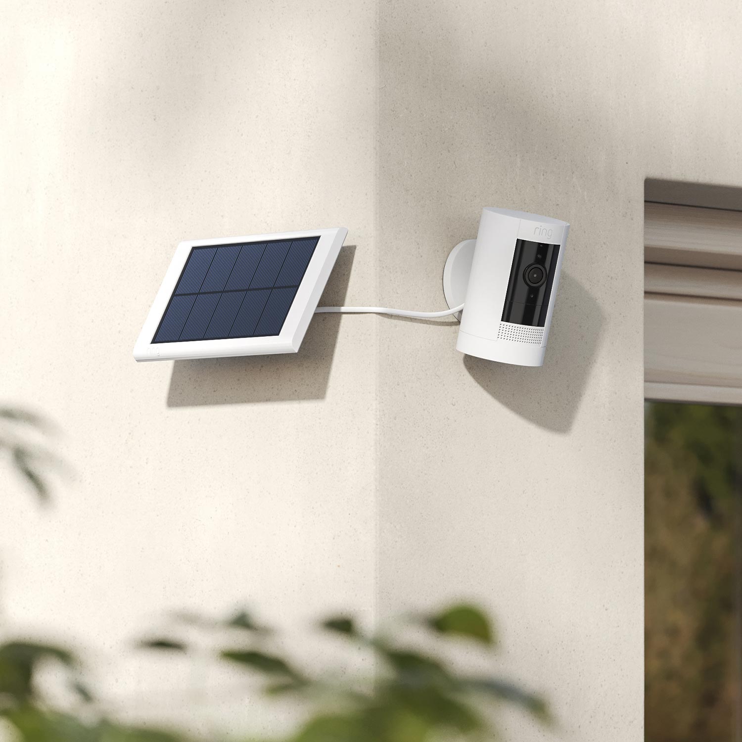 Ring Cameras Solar Panel: Harness Solar Power for Enhanced Security