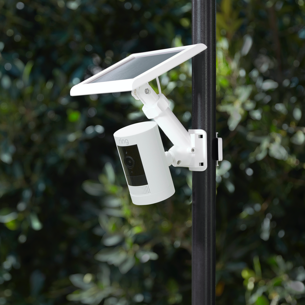 Pole Mount – Ring