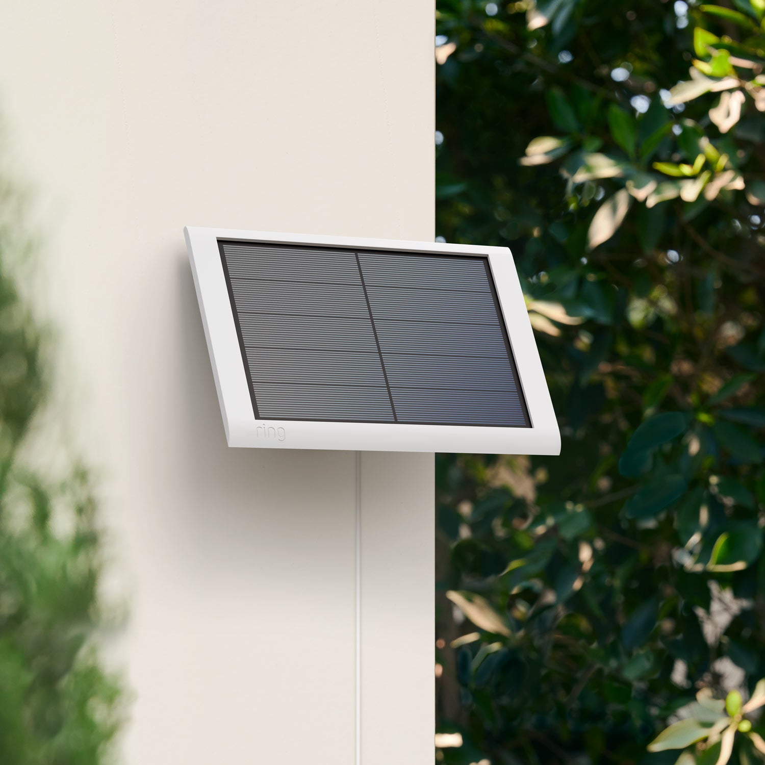 Spotlight store solar panel